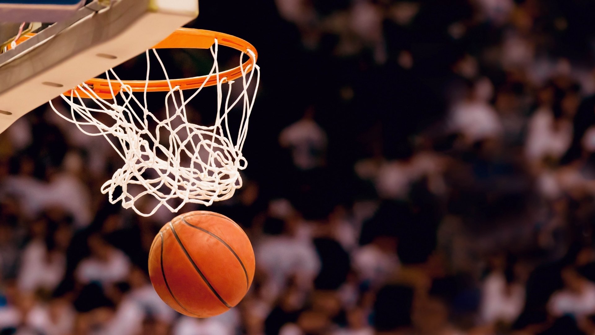 体坛风云突变,猛龙复出引爆常规赛,埃因霍温更衣室发声惊扰NBA总决赛,阿贾克斯止颓瞬间刷屏